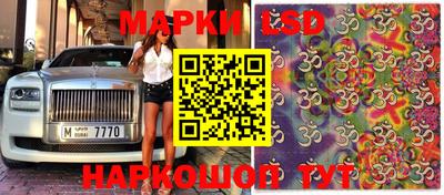 бошки Можга