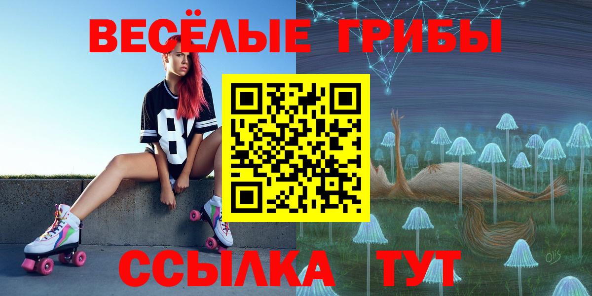 Псилоцибиновые грибы мухоморы Будённовск