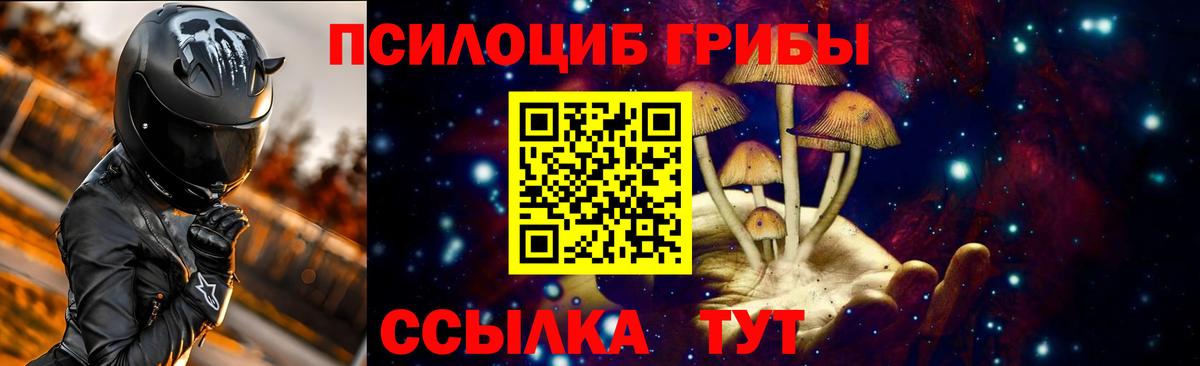 Галлюциногенные грибы прущие грибы  где купить   Будённовск  Вход с VPN  Псилоцибиновые грибы Psilocybe 